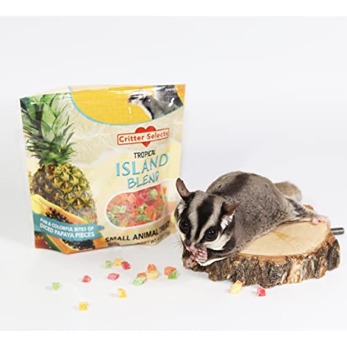 Sugar Glider Treat Bundle - Natural Healthy Assortment - Nectar Pods, Fish Sticks, EZ Worms, Agave Sticks - Suagr Gliders, Rats, Chinchillas, Ferrets, Hamsters, Hedgehogs & Other Small Animals