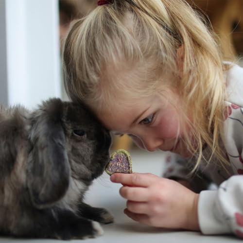 Abizoo Rabbits Chew Toys for Teeth - Natural Herbal Treats with Timothy Hay, Alfalfa, Roses & Calendula for Bunnies, Guinea Pigs, Chinchilla, Hamsters 2Pcs 3.35 inch