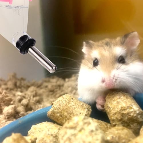 4-Pack Small Pet Water Bottles 60Ml Hanging Leakproof Hamster Water Feeder with Nozzle for Guinea Pigs Rabbits and Squirrels