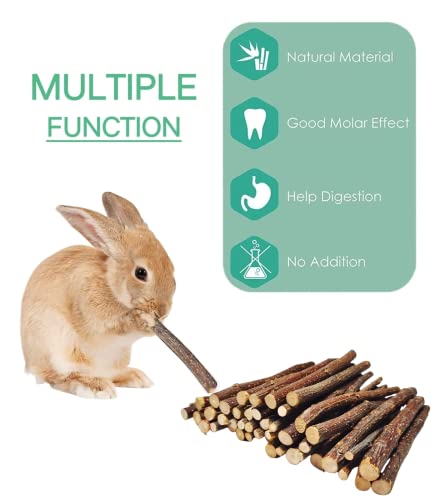 200g Apple Chew Sticks for Small Animals | Chew Toys for Bunny Chinchillas, Rabbits Guinea Pig Hamster Gerbil - style: 7oz