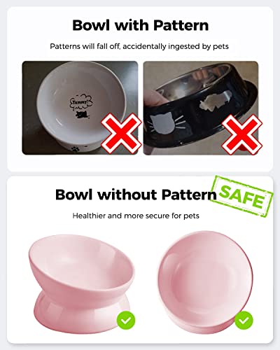 LoeJan Elevated Cat Food Bowl, 5 Oz Ceramic Raised and Tilted Water Bowl, Anti Vomiting and Protect Pets' Spines Dishes for Small Dog, Fat Faced Cat, Kitten (Pink, 1 Pack) - color: Pink