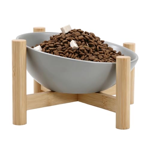 15° Slanted Rim Ceramic Cat Bowl, Anti-Spill for Small Cats | Food-safe Ceramic with Wooden Stand,Ergonomic Tilt Relieves Neck Strain,Anti-Vomiting,Prevents Whisker Fatigue,Gray - color: Gray