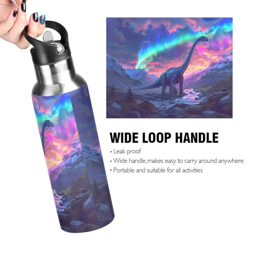 Brachiosaurus Dinosaur Northern Lights Water Bottle Kids Insulated Sports Vacuum Stainless Steel Mug with Straw Lid & Handle 20 oz - color: C1089