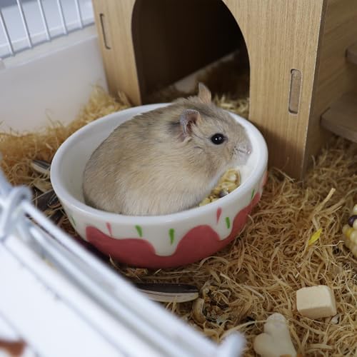 3.4oz Small Animal Food Bowl, Heavy Anti-Tipping Ceramic Pet Bowls with Strawberry Pattern, Hamster Water Bowl for Gerbils/Guinea Pigs/Reptile/Bird, Easy to Clean Hamster Bowl (Light Pink, A) - color: Light Pink