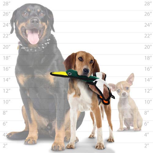 TUFFY® : 2 Pack Jr Duck Dog Toy: Ultra Durable Plush Toy with Multiple Layers & Reinforced Seams, Washable and Floats, Original Construction - color: 2PK Multi-color Jr Duck