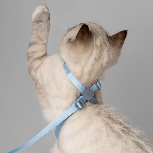 Cat Harness and Leash 2-in-1, Escape Proof Anti-Choking Harness Adjustable Lightweight Leash One-Piece Non-Detachable for Kitten Cats Outoor Walking Training, US IDA Bronze Award (Sky Blue) - color: Sierra Blue