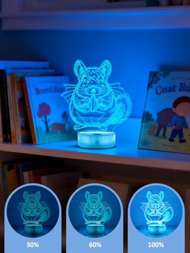 Ammonite Chinchilla Night Light, 3D LED Lamp with Remote, 16 Color Changing & Timer, Room Decor Light, Vibrant Ambient Lighting, Birthday Xmas Gift for Kids Adults - color: Color-Chinchilla