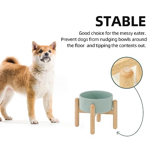 Havniva Elevated Dog Bowls Ceramic Dog Bowls with Stand, Dog Food Bowl | 6.1” Raised Dog Bowls with Non-Slip Wood Stand, Dog Food and Water Bowl Set, Dog Feeding Bowls for Small & Medium Dogs - color: Bowl+Stand - Light Green, size: 6.1inch