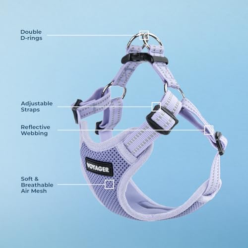 Voyager Step-in Flex Adjustable Dog Harness - Lavender, X-Small | 13 - 16" in Chest, Fully Adjustable, Reflective Bands, All Weather Breathable Air Mesh, Lightweight, Fast Drying - color: Harness (Lavender), size: XS