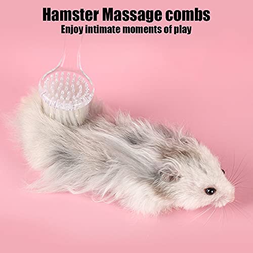 2 Pack Hamster Brush, Hedgehog Cleaning Supplies, Guinea Pig Combs - color: Transparent