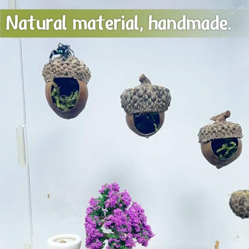 Jumping Spider Hide & Hideaway Made from Real Acorns | Handmade Magnetic Spider Cave, Ideal Habitat Accessory for Small Animals, Natural Decoration for Enclosure. 3 Pack (Round Acorn)