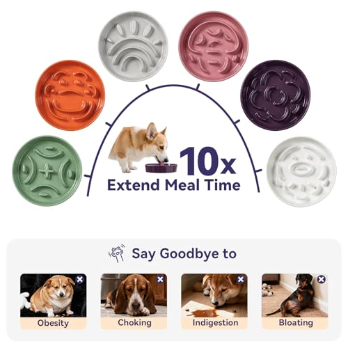 Ceramic Slow Feeder Dog Bowl, 1.8 Cups Anti -Slip Slow Feeding Bowl to Slow Down Eating, 8.2 Inch Dog Food Dish for Medium to Large Breeds, Purple - color: Purple, size: Medium