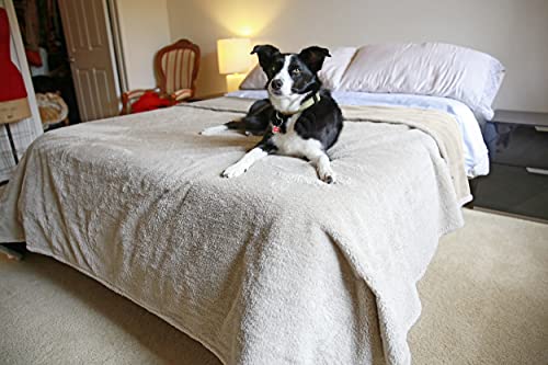Kritter Planet Waterproof Reversible Pet Blanket for Dogs and Cats | 80 x 90 Inch, Waterproof Cover for Sofa and Bed, Washable Protection Against Fur, Dirt, Scratches and Everyday Messes - color: Camel/Taupe, size: 90"x80"