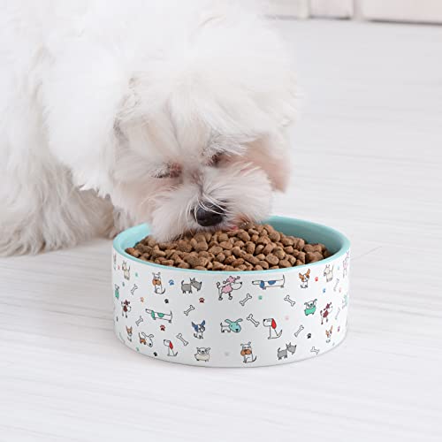 FE FUN ELEMENTS Ceramic Dog Bowls for Small Dogs, 16 Fl Oz Heavy Food and Water Bowl With Adorable Patterns (Small, Blue) - color: Blue Patterned, size: Small-5.5 inch