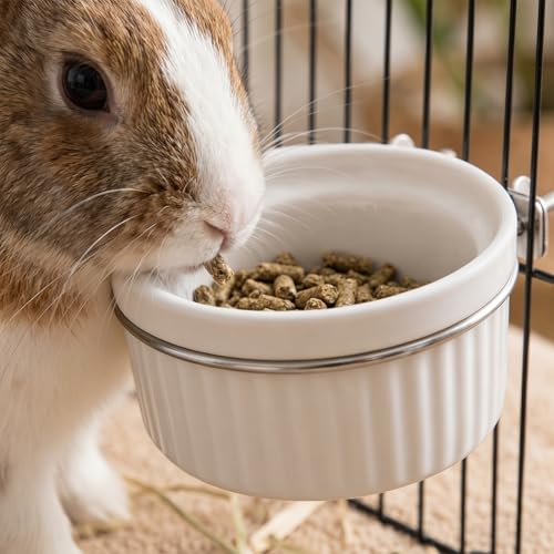 Ceramic Hanging Pet Bowl Bird Cage Feeder | Adjustable Height, No-Tool Installation, Heavy Duty Food & Water Bowl for Rabbits, Guinea Pigs, Kittens, Small Pets
