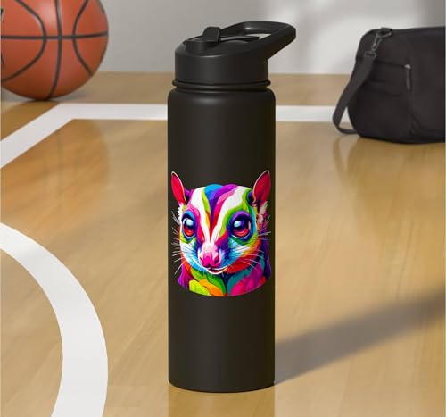 Colorful Pop Art Sugar Glider Sugar Gliders Stainless Steel Insulated Water Bottle - color: Black