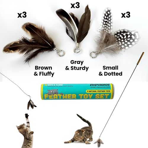 Forever Stick and 9 Cat Feather Toy Refills - The Unbreakable Cat Wand Toy, Durable Cat Toy Wand, Extra Long Cat String Toy, Cat Fishing Pole Toy for Bored Indoor Adult Cats, Cat Stick Toy - size: Forever Stick and 9 Feather Toys