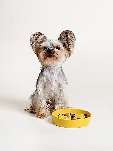 Ceramic Slow Feeder Dog Bowls Small Breed, 0.5 Cups Dog Food Dish for Fast Eaters, Puzzle Bowl for Small Dogs and Cats, 5.5 Inch-Yellow - color: Yellow