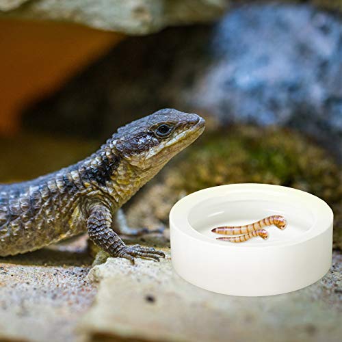 4 Pcs Reptile Bowl Food Dish Reptile Water Food Feeding Dish Ceramic Worm Pet Bowl Anti Escape Feeder for Lizard Anoles Chameleon Bearded Dragon Hermit Crab(2.71 Inch) - size: 2.71 Inch