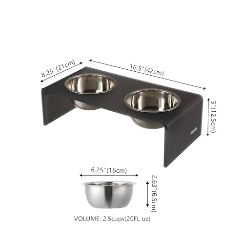 DBL2000J Keaton 5" Small/Medium Modern Acrylic Rectangular Elevated Pet Feeder with 20oz 2-Stainless Steel Bowls, Dark Gray/Chrome - color: Dark Gray/Chrome, size: 20 Ounces (5" Cups 2-Pack)