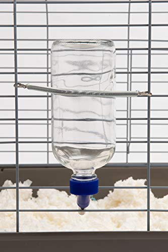 Lixit Glass Water Bottles for Small Animals and Birds (16oz), Clear (COMINHKR016337) (Pack of 2) - size: 16oz (Pack of 2)