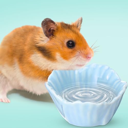 4 Pack Small Ceramic Pet Hamster Bowl, 2.68 x 2.68 x 1.38 Inch Flower Shaped Small Water and Food Bowl Feeder Dish for Guinea Pig Parrots Gerbil Rat Mice Rabbit Chinchilla, Easy to Clean Anti Flipping