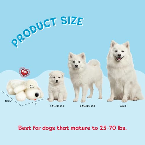 Snuggle Puppy Heartbeat Toy, Calming Comfort, Medium Breeds - Cream | Calming heartbeat toy, crate training comfort, heat pack, new puppy essentials, first nights, sleep, medium breeds 25-70 lbs - color: Golden