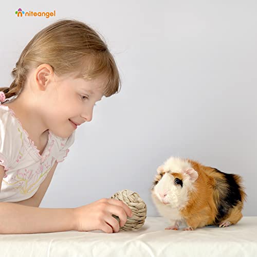 Niteangel Natural Chew Activity Toys: Meets Small Pet Chewing Needs & Mood | Helps Alleviate Teeth Grinding & Reduces Boredom - Fun Safe Hay Grass Balls for Chinchilla Guinea Pig Rats Rabbits Hamster - color: 6 Balls