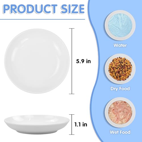 6 Pack Cat Food Bowl, Ceramic Cat Bowls, Anti Whisker Fatigue Cats Bowl Set | 5.5 Inches Shallow Wide Kitten Plates for Food and Water (White-C) - color: White