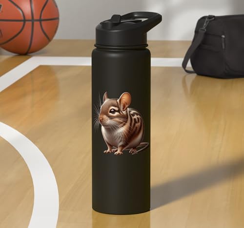 Degu Design Stainless Steel Insulated Water Bottle - color: Black
