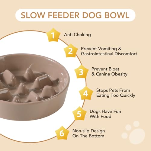 Havniva Elevated Slow Feeder Dog Bowls, Ceramic Dog Bowl Slow Feeder Set | 1.2 Cups Raised Slow Feeder Dog Bowl for Small Breed, 6.1” Dog Water Bowl with Wooden Stand, Puzzle Dog Food Bowl, Non-slip - color: Brown Coffee