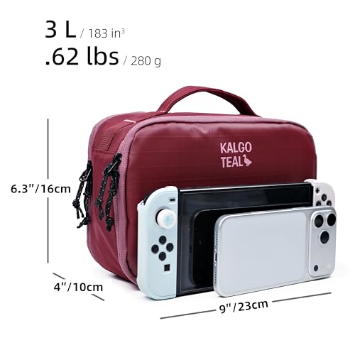 Accessories Bag & Tech Pouch | Organizer for Cables, Electronics & Everyday Essentials, Water-Repellent, Dual-Sided Padded - color: Valkyrie
