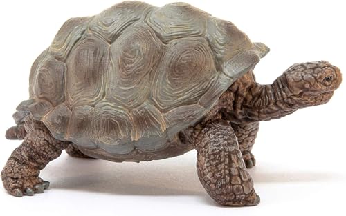 Schleich Wild Life - 3" Galapagos Giant Tortoise Figure - Realistic Turtle Toy for Boys and Girls - Wild Animal Educational Toy - Zoo Wildlife Figurine for Toddlers and Kids Ages 3+ | 13337