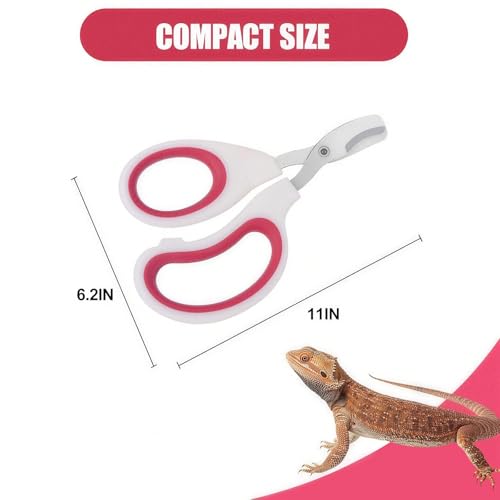 Stainless Steel Bearded Dragon Nail Clippers,Lizard Nail Clippers,Bearded Dragon Supplies,Bearded Dragon Nail Scissors for Small Reptiles,Turtle,Chameleon,Iguana，Hedgehog (Rose red) - color: Rose Red
