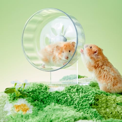 Hamster Wheel, Silent Running Exercise Wheel with Adjustable Stand for Hamster Guinea Pig Gerbil Hedgehog Small Animal Cage Accessories (Clear, 7.1inch/18cm) - size: 7.1inch/18cm