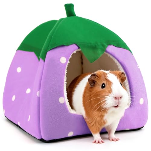Guinea Pig Hideout Bed, Dwarf Rabbit House Cave | Cozy Hide-Out for Little Bunny Hedgehog Ferret Chinchilla & Other Small Animals, Cage Accessories - color: Purple