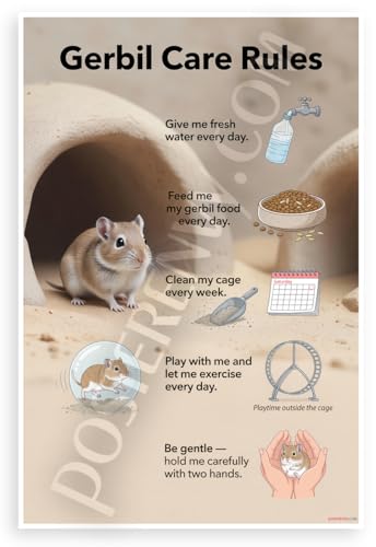 Gerbil Care Rules Educational 12x18 US Made Poster