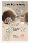 Gerbil Care Rules Educational 12x18 US Made Poster