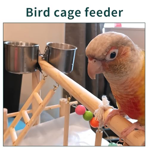 TBWHL Parrot Feeding Cups Hanging Pet Animal Stainless Steel Birdcage Bowls Bird Bowls for Cage Parakeet Birds Cage Accessories Suitable Small and Medium Bird S