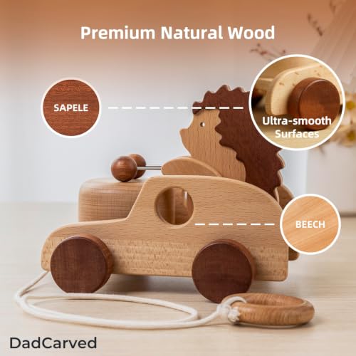 Hedgehog Pull Toy | Montessori Wooden Pull-Along Walking Toy with Wooden Grip Ring | Natural Drumming Sound for Kid Toddlers