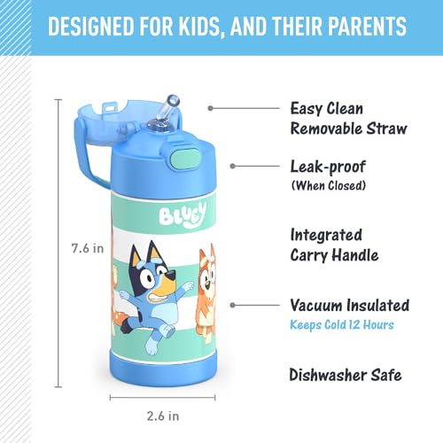 THERMOS Mickey Mouse & Bluey 12 Ounce Kids Insulated Water Bottles with Straw