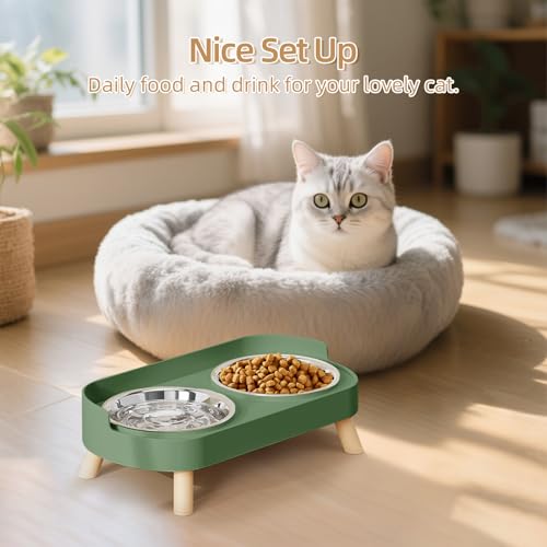 Elevated Cat Bowl, Raised Cat Food and Water Bowl Set for Indoor Cats, Splash Proof with 2 Stainless Steel Pet Food Bowls for Cats and Puppies, Whisker Fatigue and Dishwasher Safe - Green - color: Cat Bowls-Green