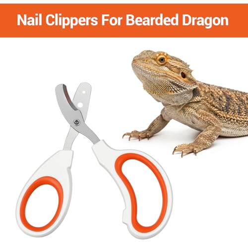 Bearded Dragon Nail Clippers, Stainless Steel Pet Nail Clippers, Reptile Nail Clippers Grooming Tool for Bearded Dragons, Small Animals, Reptile Care Supplies