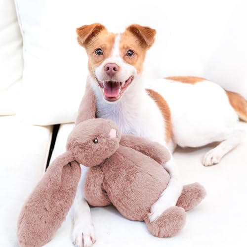 Best Pet Supplies Bunny Buddy Squeaky Plush Dog Toy - Mauve, Medium | Soft Plush, Squeaks & Crinkles, Perfect for Moderate Chewers, Toss & Fetch Play, Stress & Anxiety Reliever, Ideal Gift Toy - color: Bunny (Mauve), size: Medium