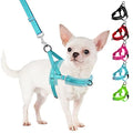 SlowTon No Pull Small Dog Harness and Leash Set with Front Clip | Soft Padded, Neck & Chest Adjustable, Lightweight, Anti-Twist, Puppy Vest Harness Pet Lead Combo for Small Medium Dog, TL S - color: Teal, size: Small