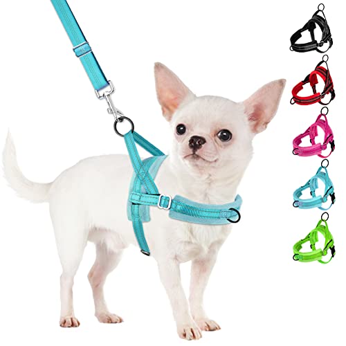 SlowTon No Pull Small Dog Harness and Leash Set with Front Clip | Soft Padded, Neck & Chest Adjustable, Lightweight, Anti-Twist, Puppy Vest Harness Pet Lead Combo for Small Medium Dog, TL S - color: Teal, size: Small
