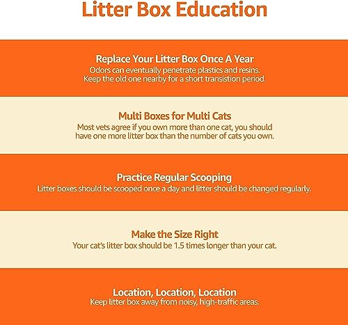 Amazon Basics Large Cat Litter Box with High Sides, Top Entry, Odor Control, Includes Scoop, 20.5 x 14.75 x 14.38 inches, Grey - color: Grey, style: Top Entry