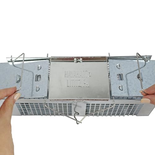 Havahart X-Small Animal Trap, 2-Door Humane Trap for Mice, Voles, Shrews | Humane Catch & Release Trap for Moles & Small Rodents, Galvanized Steel Mesh Construction, Weather-Resistant, Mouse Traps