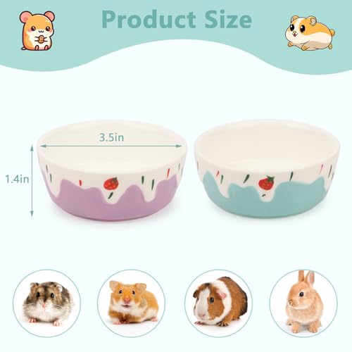 Wontee Hamster Food Bowl 2 Pack Ceramic Food Water Bowl Anti-Tipping for Dwarf Hamsters Gerbil Mice Hedgehog Guinea Pig (Blue+Purple) - color: Blue+Purple