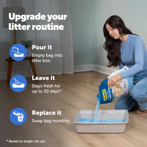 PetSafe ScoopFree Odor Control Crystal Cat Litter, Fresh Scent, 8 Lb Bag | 5x Faster Odor Control than Clumping Clay Litter, 99% Dust-Free, Low Tracking Crystals, Compatible with Any Cat Litter Box - size: 1-Pack (8 lb Bag)